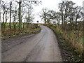 Minor road and bridge crossing Coupar Burn near to Little Keithick