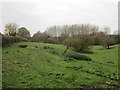 Grass field near Park Farm