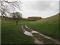 Grassland and track near Woodnook Farm