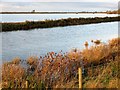 TL4177 : Flooding at Chain Corner - The Ouse Washes by Richard Humphrey