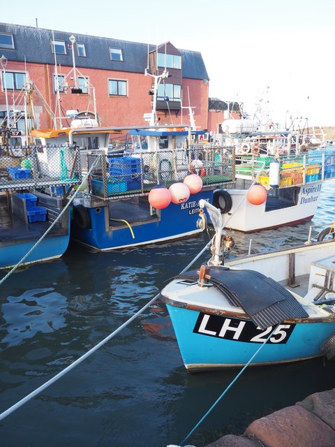 Blue Boats in the Old Harbour Dunbar