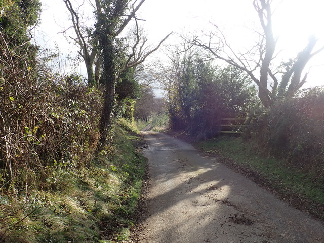 View South along Drumulcaw Road, Scrib... © Eric Jones :: Geograph Ireland