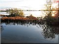 TL4279 : A view from the footbridge at Sutton Gault - The Ouse Washes by Richard Humphrey