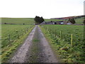 Fence-lined track from Nethermill Cottages