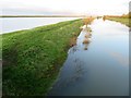 TL4279 : Footpath on the river bank at Sutton Gault - The Ouse Washes by Richard Humphrey