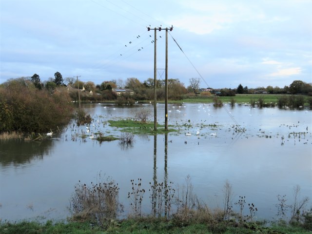 Poles in the flood water near Mepal - The Ouse Washes