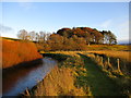 River Ayr Way west of Wellwood