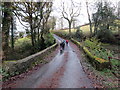 Pont ger Gwar y Coed / Bridge near Gwar y Coed