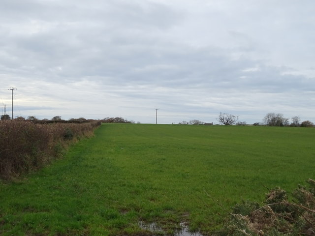 Grassland and hedgerow near Hurleyfield