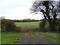NY0206 : Field entrance off the A595, Blackbeck  by JThomas