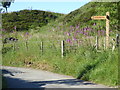 The Pennine Bridleway Mary Towneley loop near Pike Hill