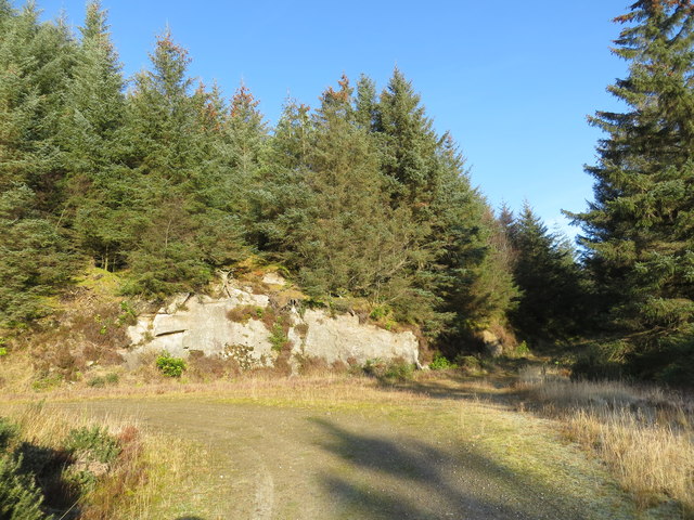 Junction of tracks in the forest above Loch Long