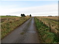 Fence-lined minor road approaching Upper Outseat