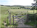 SD8326 : The Pennine Bridleway Mary Towneley loop near Water by Dave Kelly