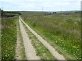 SD8427 : The Pennine Bridleway Mary Towneley loop near Windy Bank by Dave Kelly
