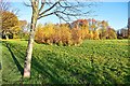 Autumn sunshine Moorside Park