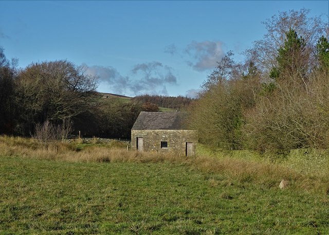 Barn by Swallow Moss Plantation