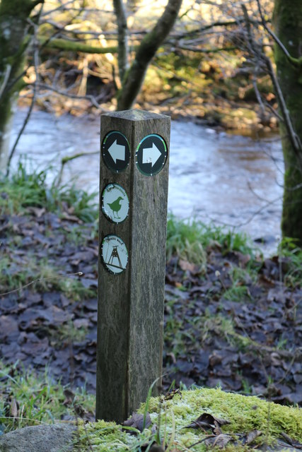 Trail Markers by Afton Water