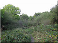 Prestwick Road Meadows - Local Nature Reserve