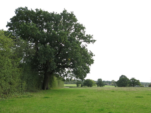 Field south of Wentworth Drive © Mike Quinn cc-by-sa/2.0 :: Geograph ...