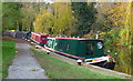 Narrowboats moored along the canal