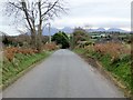 Tannaghmore Road descending towards the junction with Demesne Road