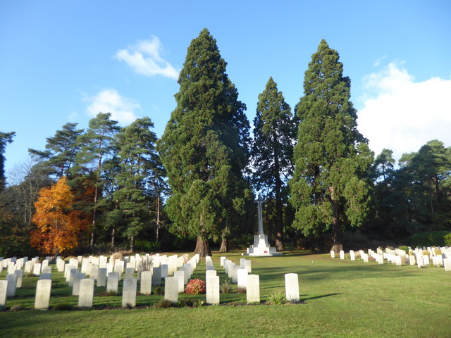 In the British section of Brookwood Military Cemetery