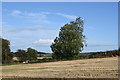 Aberdeenshire autumn field scene...