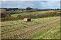 SW8941 : Farmland, Ruanlanihorne by Andrew Smith
