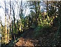 Coastal path near Layde Point