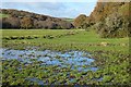 Pasture, Tregoney