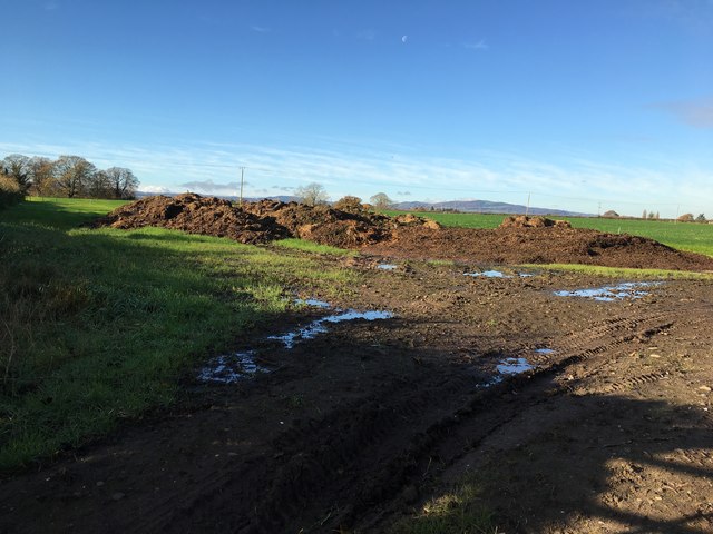 Muck in muddy field
