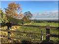 Boundary of footpath between Wynnstay and Hoseley Lanes