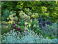 Herb garden in Glasgow Botanic Garden