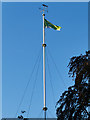 Green flag in Glasgow Botanic Garden