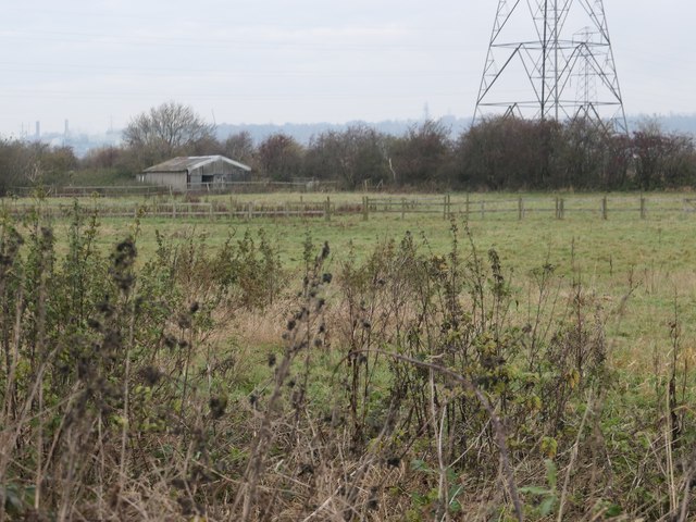 Fields, Frodsham Marsh Farm