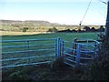 Path to Weston in Gordano