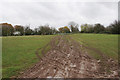 Muddy track on Kempsey Common