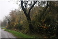 Woods by Cogges Lane, Blackditch