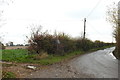 School Road, Horkesley from the entrance to Hall Farm