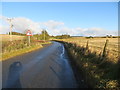 Road heading towards Nether Clochforbie