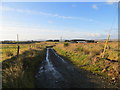 Track descending Hill of Fishrie near to Hillhead of Clochforbie