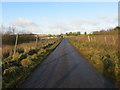 Fence-lined minor road near Broadmuir