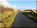 Fence-lined minor road near to Loanhead