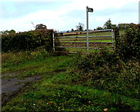 SO7708 : Public footpath sign near a field gate, Whitminster by Jaggery