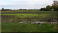 Waterlogged field in Whitminster