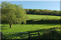 Fields near Hannaford