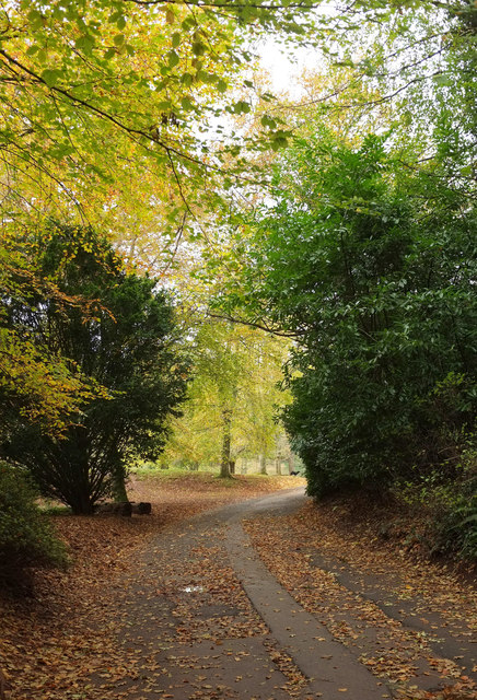 Path, Cockington © Derek Harper cc-by-sa/2.0 :: Geograph Britain and ...