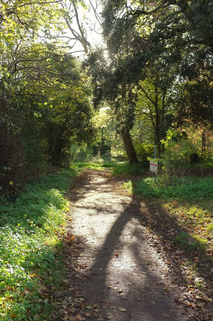 Path near Torquay Grammar Schools © Derek Harper cc-by-sa/2.0 ...