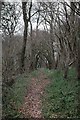 ST3791 : Path of the Usk Valley Walk by John Winder
